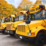 Row of yellow school buses parked in an autumn setting