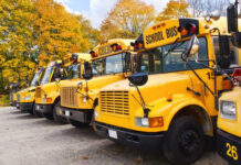 Row of yellow school buses parked in an autumn setting
