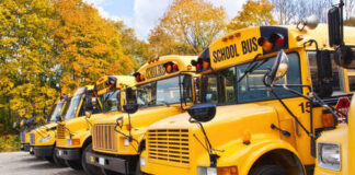 Row of yellow school buses parked in an autumn setting