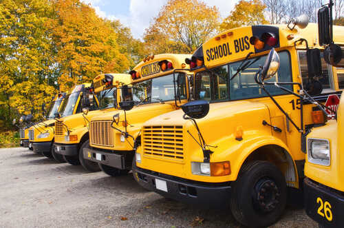 Row of yellow school buses parked in an autumn setting