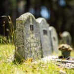 Old tombstones in a grassy graveyard under sunlight