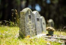 Old tombstones in a grassy graveyard under sunlight