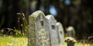 Old tombstones in a grassy graveyard under sunlight