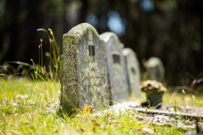 Old tombstones in a grassy graveyard under sunlight
