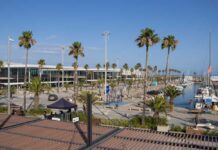 A vibrant harbor scene with palm trees and a marina