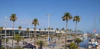 A vibrant harbor scene with palm trees and a marina