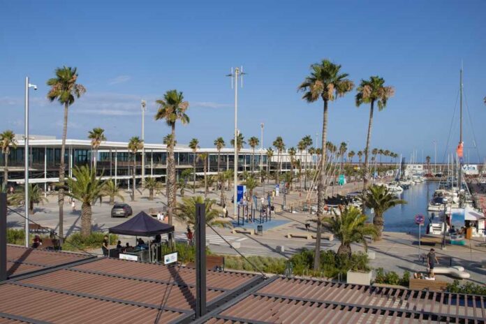 A vibrant harbor scene with palm trees and a marina