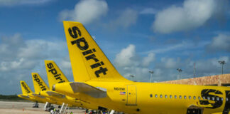 Yellow Spirit Airlines planes parked at the airport.