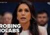 Tulsi Gabbard to PROBE BIOLABS
