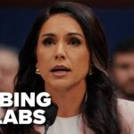 Tulsi Gabbard to PROBE BIOLABS
