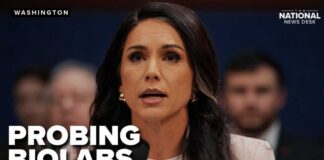 Tulsi Gabbard to PROBE BIOLABS