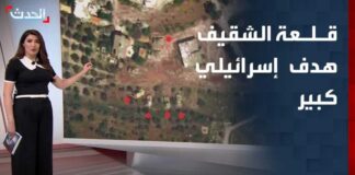 Beaufort Castle: Israel's Target After Crossing the Yellow Line in Southern Lebanon