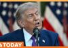Trump Wins Big as His Endorsements Score Victories in Primaries