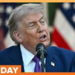 Trump’s Endorsements: Powerhouse or Pitfall? Trump Wins Big as His Endorsements Score Victories in Primaries