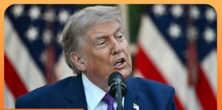 Trump Wins Big as His Endorsements Score Victories in Primaries
