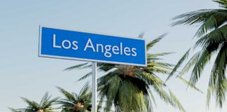 Sign indicating Los Angeles surrounded by palm trees