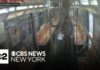 Man sentenced after allegedly setting NYC subway rider on fire