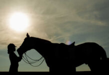 Silhouette of a rider with a saddled horse at sunset