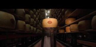 Extreme heat threatens Italy's Parmesan heartland