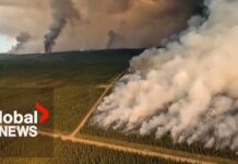 Researchers say most Canadian wildfire emissions come from burning soil