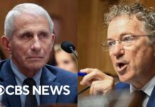 Inside Sen. Rand Paul's accusations against Dr. Anthony Fauci, which Fauci denies