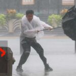 Typhoon Dolphin makes landfall in eastern China unleashing torrential rain and strong winds