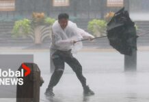 Typhoon Dolphin makes landfall in eastern China unleashing torrential rain and strong winds