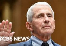 The Legal Fight Behind Fauci’s Fifth Amendment Legal analysis on whether Dr. Anthony Fauci can be punished for invoking Fifth Amendment