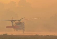 Battling the Feliz Fire near Hopland in Mendocino County, Aug. 1, 2026