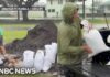 Tropical Storm Lala set to slam Hawaii