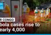 WHO calls for 'intensified' response as DR Congo Ebola cases near 4,000 • FRANCE 24 English