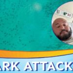 One Shark Bite Revealed Heroes On The Water Florida Man Recalls Terrifying 7-Foot Nurse Shark Bite Near Key West