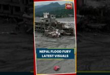 Nepal Flood Aftermath: Homes And Infrastructure Reduced To Ruins #nuwakot #flashflood