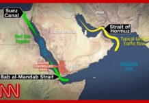Houthis Close In—Shipping Shudders Iran-backed Houthis capture Yemeni port near crucial strait