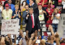 politician on stage at a rally raising a fist amid cheering crowd