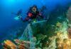 Scuba diver removing fishing net from coral reef