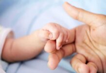 Baby Bruises Spark Shocking Hospital Probe baby hand holding adult finger