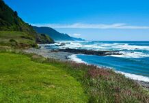 Rocky coastline with blue ocean and grassy cliffs