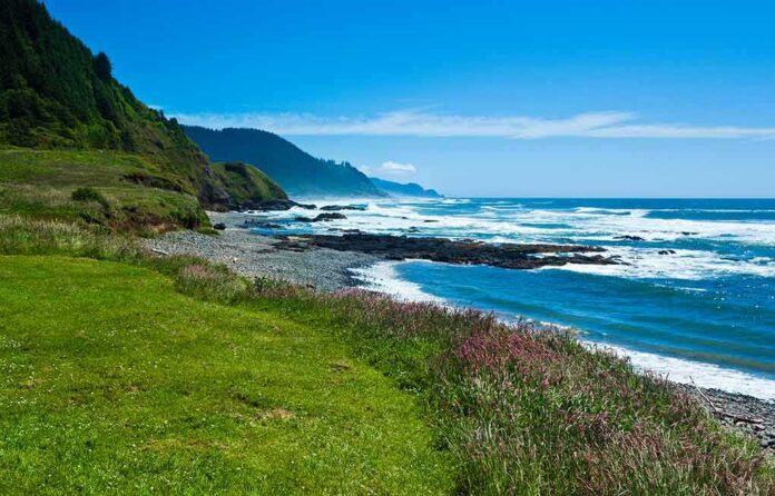 Rocky coastline with blue ocean and grassy cliffs
