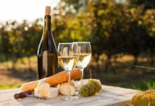 A bottle of white wine, two glasses, cheese, and grapes on a wooden table in a vineyard