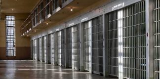 Row of prison cells with metal bars along an empty corridor